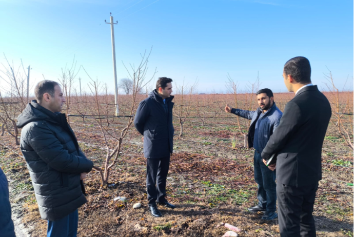 Aqrar Sığorta Fondunun sədri Ağsuda vətəndaşların müraicətlərini dinləyib, təsərrüfatlara baş çəkib | FED.az