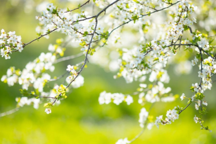 25 dərəcə isti - SABAHIN HAVA PROQNOZU | FED.az