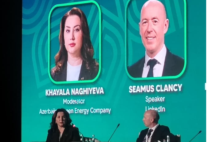 LinkedIn rəsmisi: "Süni intellektə işçiləri ixtisar edərək qənaət etmək kimi baxmaq lazım deyil" | FED.az