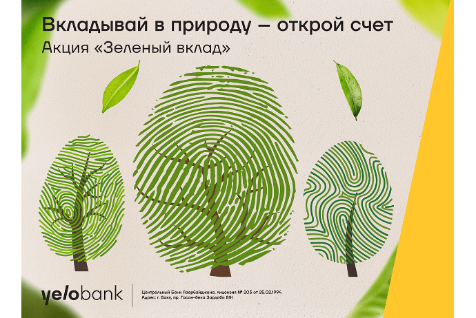 Вклад в Yelo Bank — вклад в зелёный Баку | FED.az