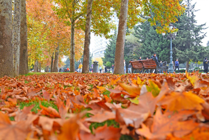 Şənbə gününün - HAVA PROQNOZU | FED.az