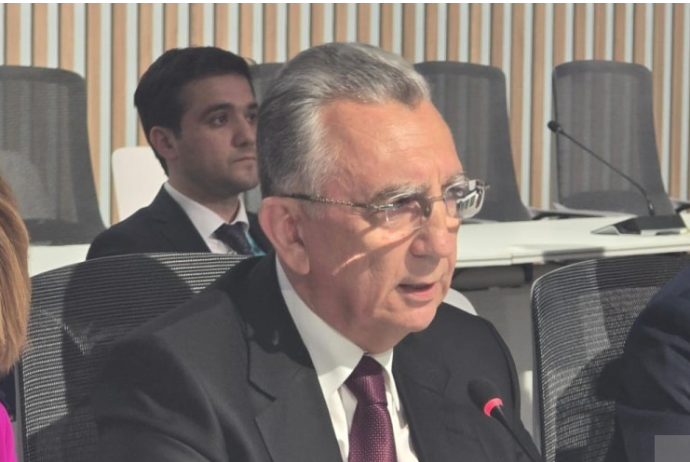 Eldar Əzizov: "Bakıda kanat yolu və tramvay xətti yaradılacaq" | FED.az