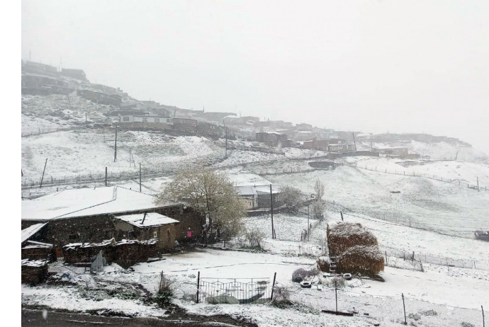 Bəzi rayonlara intensiv qar yağacaq - SABAHIN HAVA PROQNOZU | FED.az