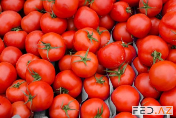 Azərbaycanda pomidor ixracından gəlirlər 7%-dən azalıb | FED.az