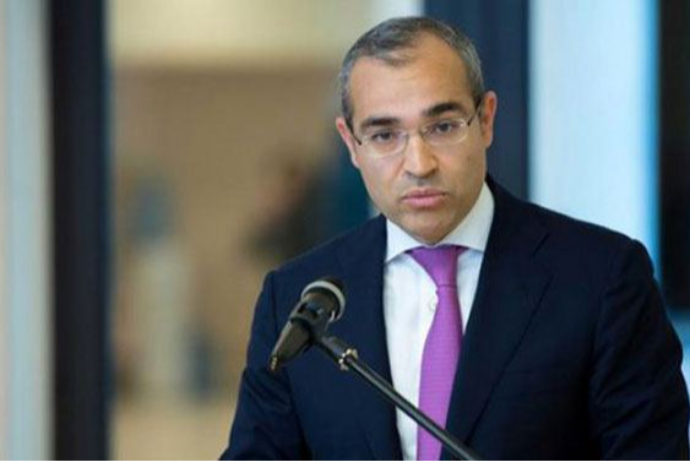 "Tənzimləyici qurumların bazar iştirakçısı olması sistemli risk yaradır" | FED.az