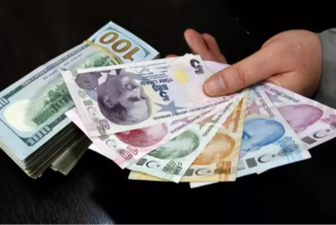 Türkiyə lirəsi dollar qarşısında rekord həddə ucuzlaşıb | FED.az