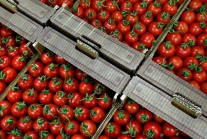 Azərbaycan  Rusiyaya 152 min tondan çox pomidor - İxrac Edib | FED.az