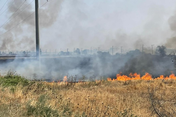 Prezident əkin yerinin yandırılması ilə bağlı yeni cərimələri təsdiqləyib | FED.az