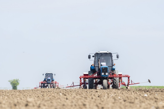 Azərbaycan Gürcüstandan yük maşını və traktor idxalını - Artırıb | FED.az