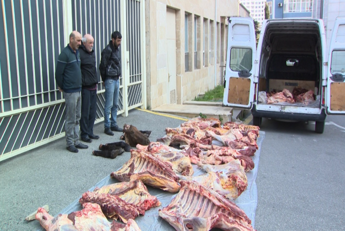 “Bandotdel” Bakıda restoranlara ölü at əti satanları həbs etdi - FOTO - VİDEO | FED.az