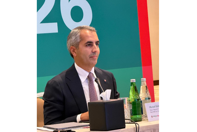 "PAŞA Bank Gürcüstan"ın faiz gəlirləri artıb | FED.az