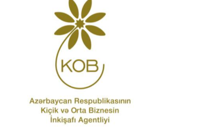 Kiçik və Orta Biznesin İnkişafı Agentliyi - TENDER ELAN EDİR | FED.az