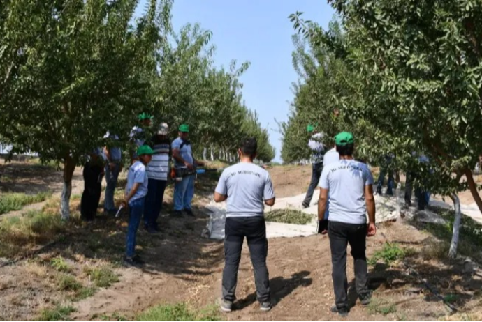 Aqropark şirkətində 21 milyon manat zərər yığılıb | FED.az