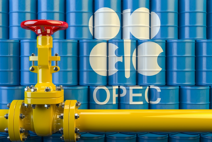 OPEC+ neft hasilatının artırılması ilə bağlı ABŞ-ın xahişini rədd edib | FED.az