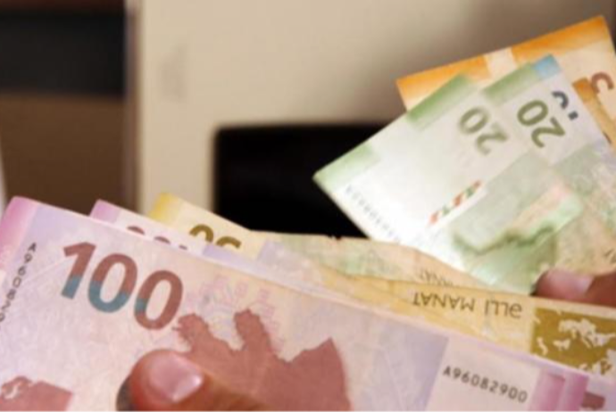 Problemli biznes kreditlərinin həcmi illik artıb, aylıq azalıb - RƏQƏMLƏR | FED.az