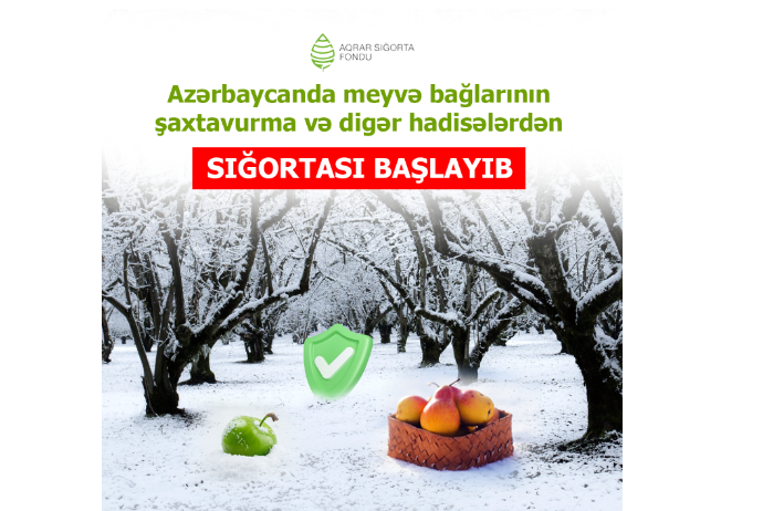 Azərbaycanda meyvə bağlarının şaxta və digər hadisələrdən - SIĞORTASI BAŞLAYIB | FED.az