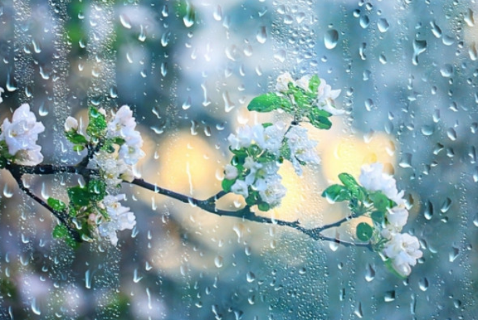 Yağış, dolu - SABAHIN HAVA PROQNOZU | FED.az