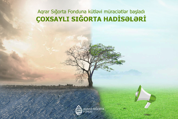 Aqrar Sığorta Fonduna kütləvi müraciətlər başladı – ÇOXSAYLI SIĞORTA HADİSƏLƏRİ | FED.az