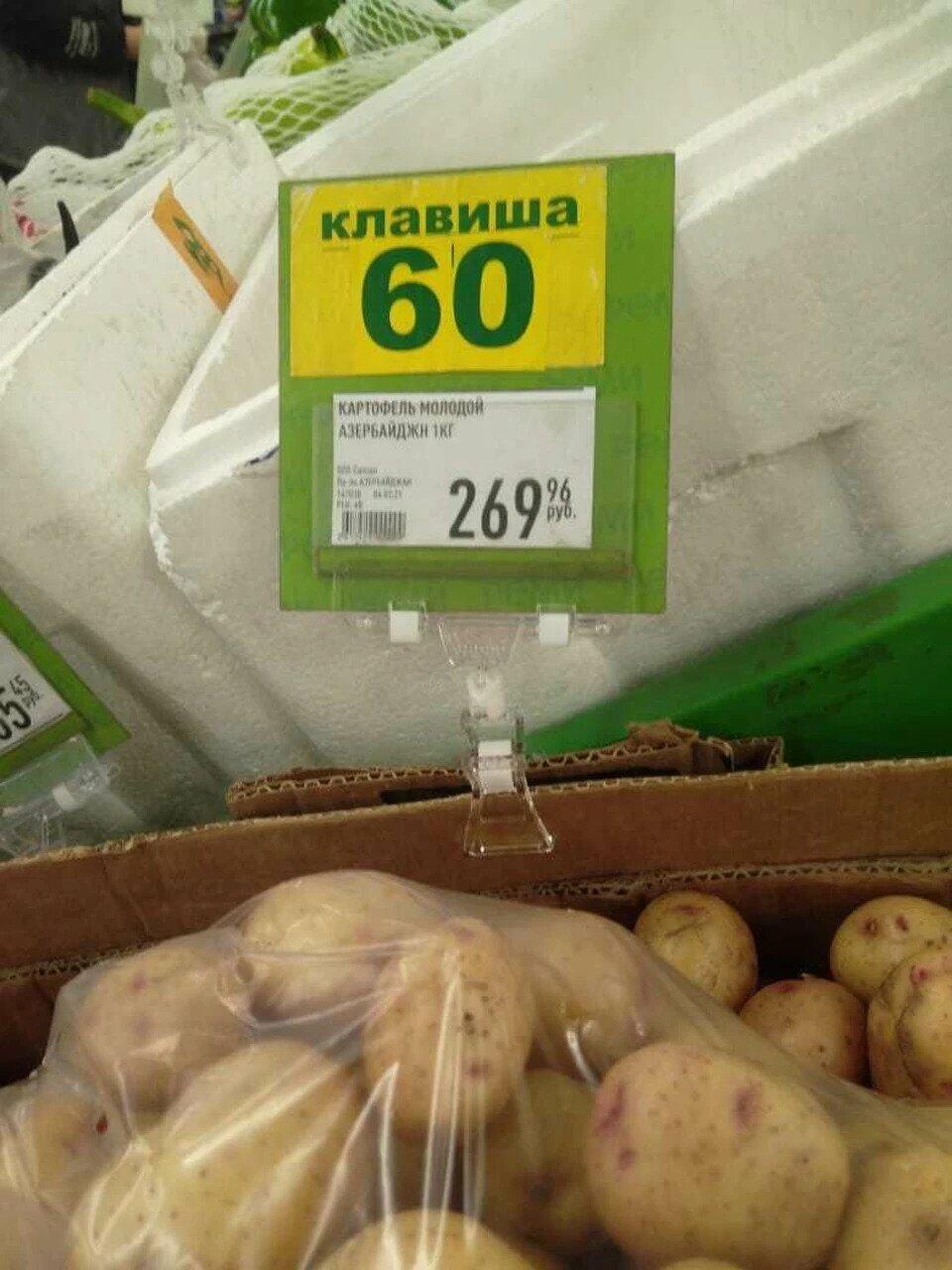 Килограмм картошки стоит 40 рублей. Картофель, 1 кг. Килограмм картофеля. Картофель кг. 1 Кг картошки.