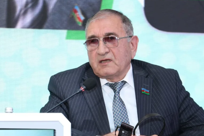 Tahir Rzayev: "Dövlətin bazara müdaxiləsi ciddi problemlər yarada bilər" | FED.az