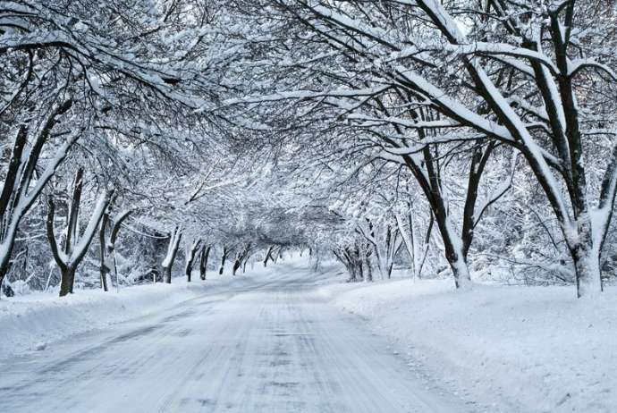 Bakıda və rayonlarda qar yağacaq, temperatur 8-10 dərəcə aşağı enəcək - XƏBƏRDARLIQ | FED.az