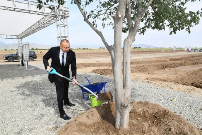 Şəhərə girişdə 125 hektarlıq böyük - Meşə Parkı Salınacaq | FED.az