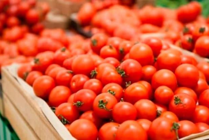 Azərbaycan Rusiyaya pomidor ixracından 68,3 milyon dollar qazanıb | FED.az