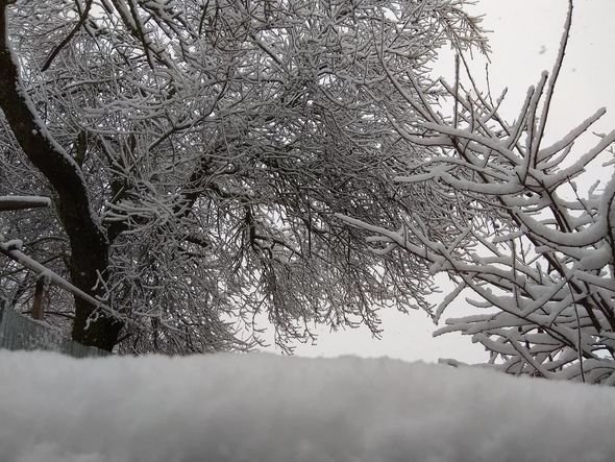 Rayonlarda qar yağacaq - HAVA PROQNOZU AÇIQLANDI | FED.az