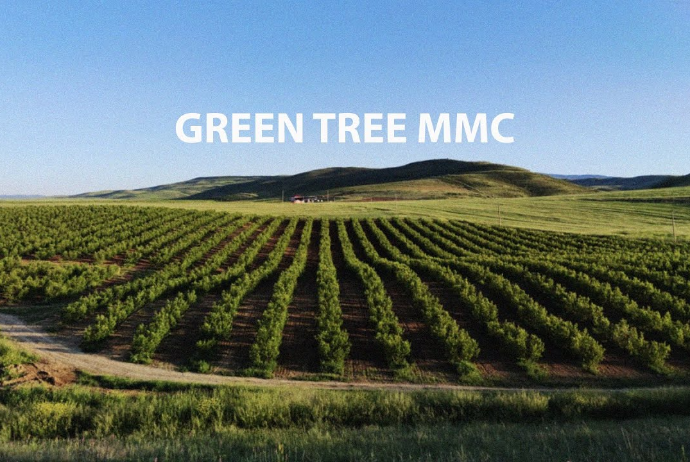 “Green Tree” MMC - MƏHKƏMƏYƏ VERİLDİ - SƏBƏB | FED.az