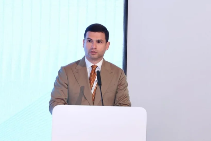 Orxan Məmmədov: "Dayanıqlı şəhərləri yalnız dövlət vəsaitləri hesabına yaratmaq mümkün deyil" | FED.az
