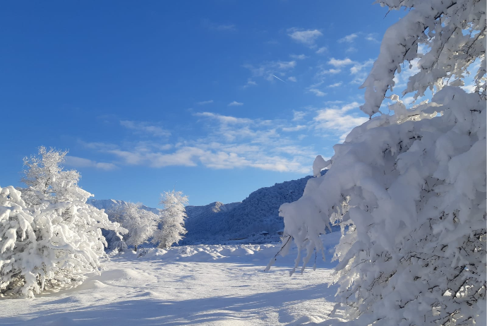 Bakıda sulu qar, dağlıq və dağətəyi rayonlarda qar yağacaq - PROQNOZ | FED.az