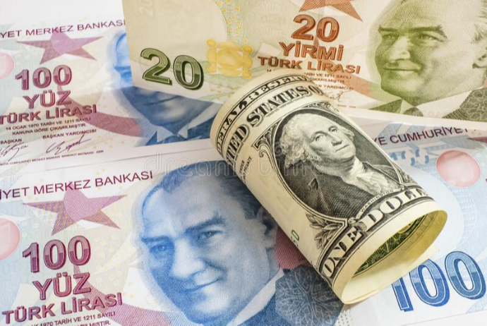 Türk lirəsinin ucuzlaşması bankların kapitalını - 4,5 Milyard Dollar "Əridib" | FED.az