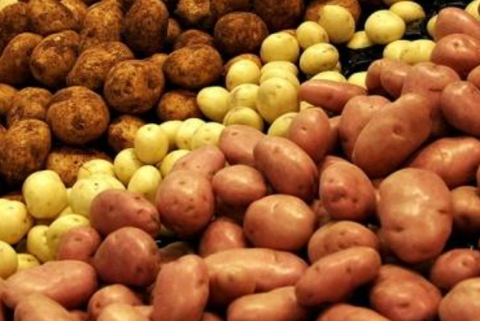 Rusiyanın 2022-ci ildə 18 milyon tona qədər - Kartof Yığacağı Gözlənilir | FED.az