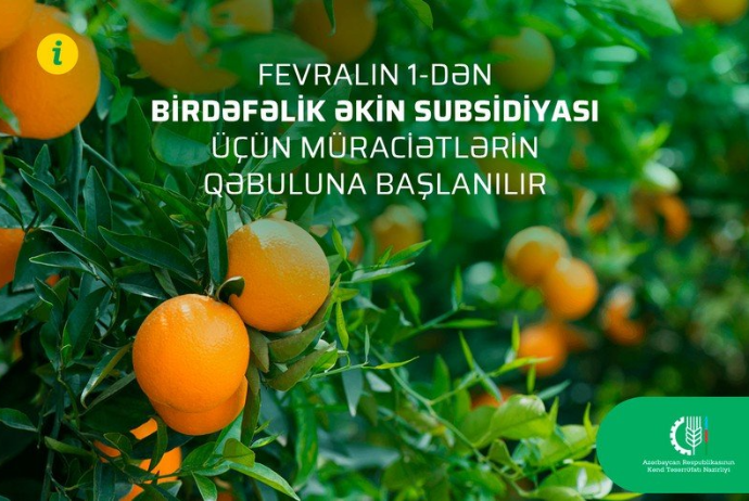 Birdəfəlik əkin subsidiyası üçün - Müraciətlərin Qəbuluna Başlanılır | FED.az