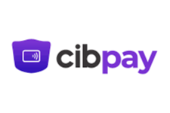 “CibPay”ın kapitalı 20 min manat azaldılır | FED.az