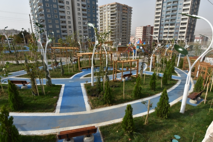 Bakıda yeni park salınacaq - TENDER | FED.az