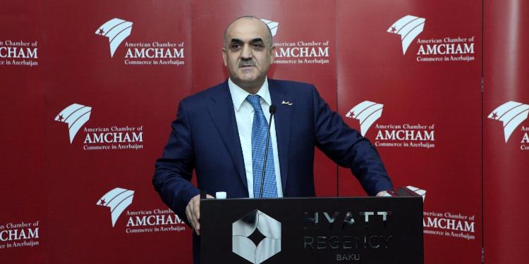 Nazir: "İşsizlikdən sığorta haqqında” qanun Milli Məclisə təqdim olunub | FED.az