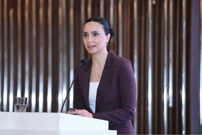 Azərbaycanda dövlət-özəl tərəfdaşlığı çərçivəsində 1,1 milyard manat investisiya - YATIRILACAQ | FED.az