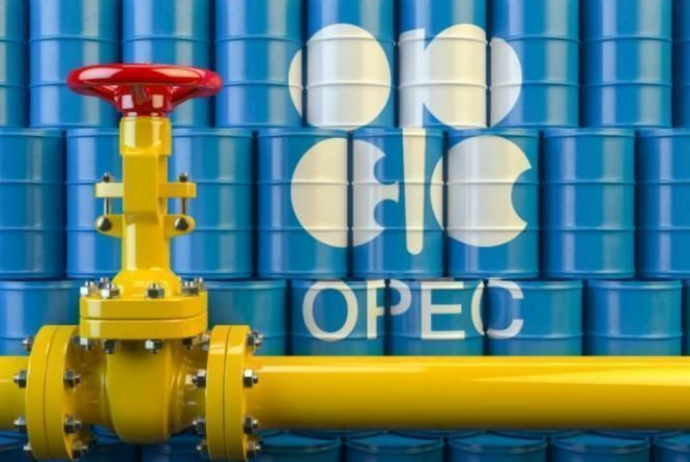 "OPEC" seçim qarşısında - 1 MİLYON BARELLİK RİSKƏ GEDƏCƏKMİ | FED.az