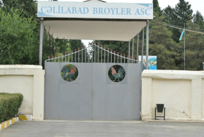 “Cəlilabad Broyler”  ASC-nin rəhbərliyi yenidən formalaşdırılacaq | FED.az