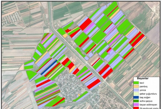 Azərbaycanın 10 rayonunda əkin sahələrini – KOSMOSDAN PEYKLƏR YOXLAYIB | FED.az