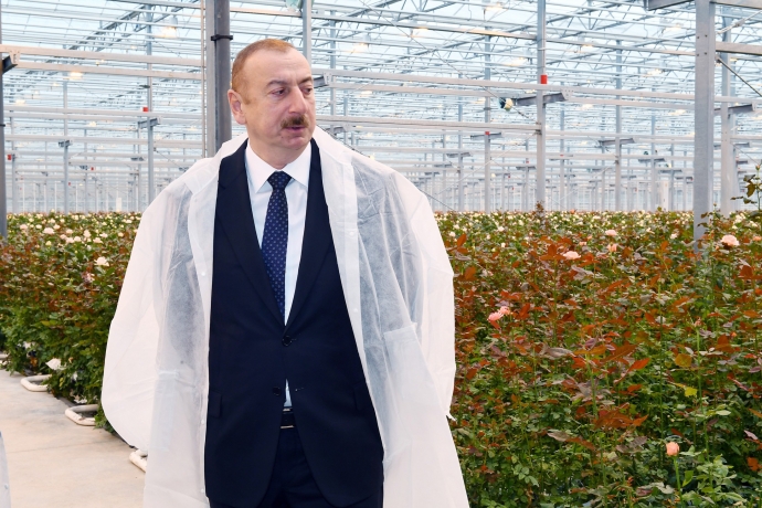 Prezident gülçülük istixanası ilə - TANIŞ OLDU | FED.az