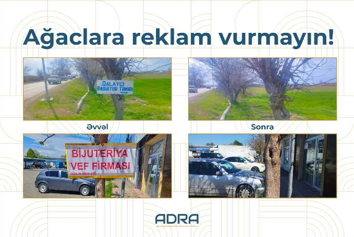 ADRA ağacların üzərinə vurulmuş yüzlərlə reklam qurğusunu demontaj edib - FOTOLAR | FED.az