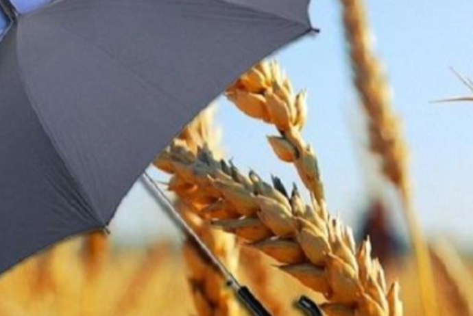 FAO: "Azərbaycan məhsulun sığortalanması sahəsində vacib addımlar atır" | FED.az