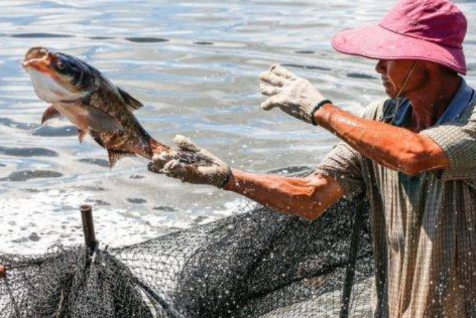 Mayın 1-dən balıq ovuna moratorium - QÜVVƏYƏ MİNİR | FED.az