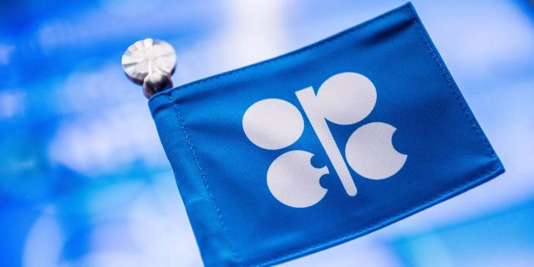 OPEC-in gəlirləri 12 illik minimuma enib | FED.az