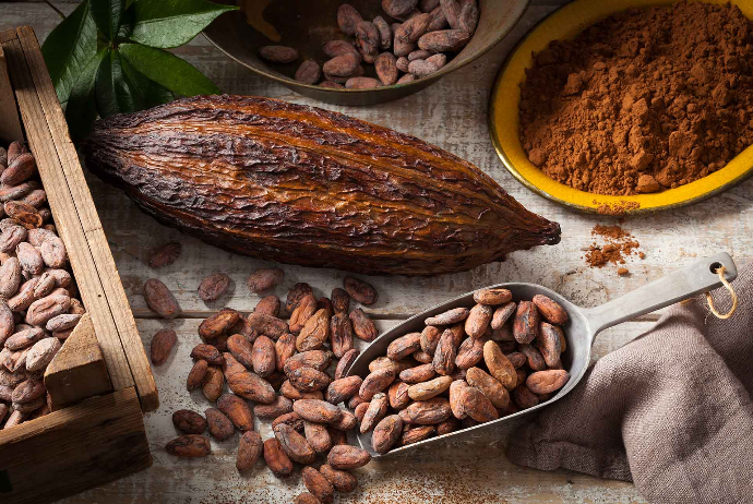 Kakao paxlasının qiymətləri son aylarda ən aşağı səviyyəyə düşüb - SON QİYMƏT | FED.az