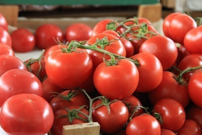 Vüqar Əlimirzəyev: “Pomidor ixracı üçün yeni bazarlar axtarılır”