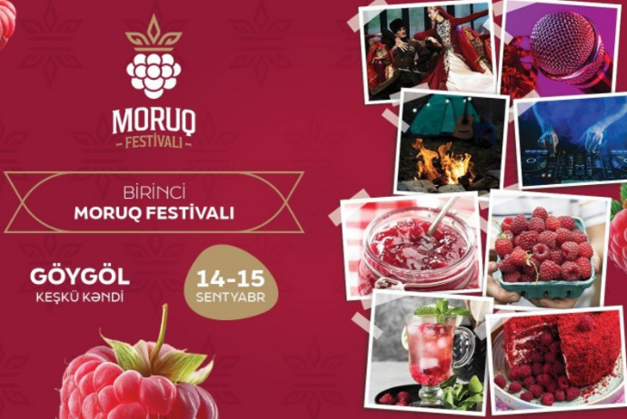 Azərbaycanda ilk dəfə “Moruq Festivalı” keçiriləcək | FED.az