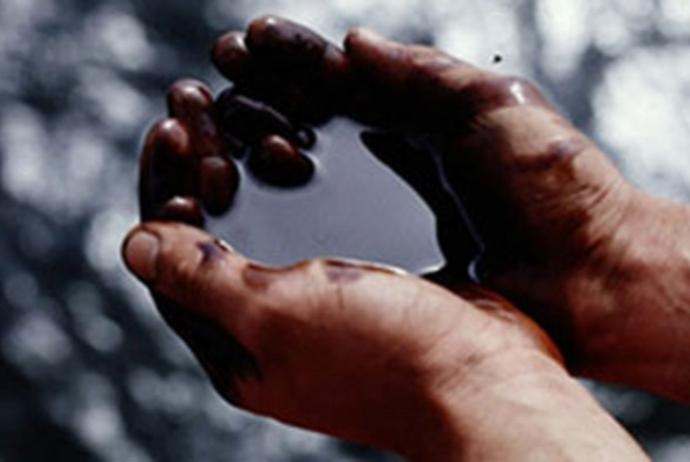 Naftalan neftinin keyfiyyətli və təhlükəsiz olması barədə təsdiqedici sənədlər veriləcək | FED.az